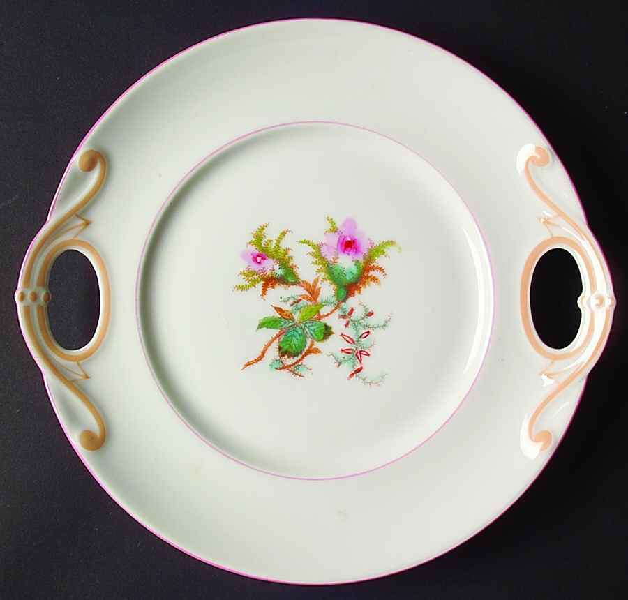 Moss Rose (Peach Trim) Handled Cake Plate by Haviland-1