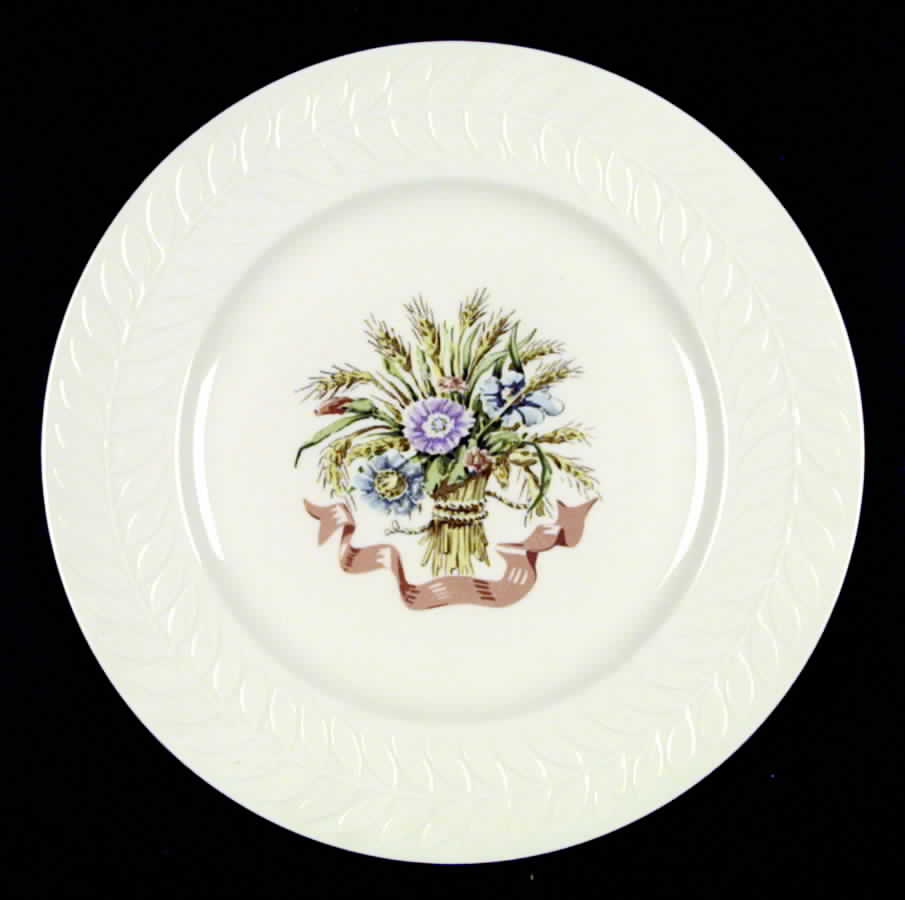 Mt. Vernon (NY, Regents Park) Dinner Plate by Haviland-1
