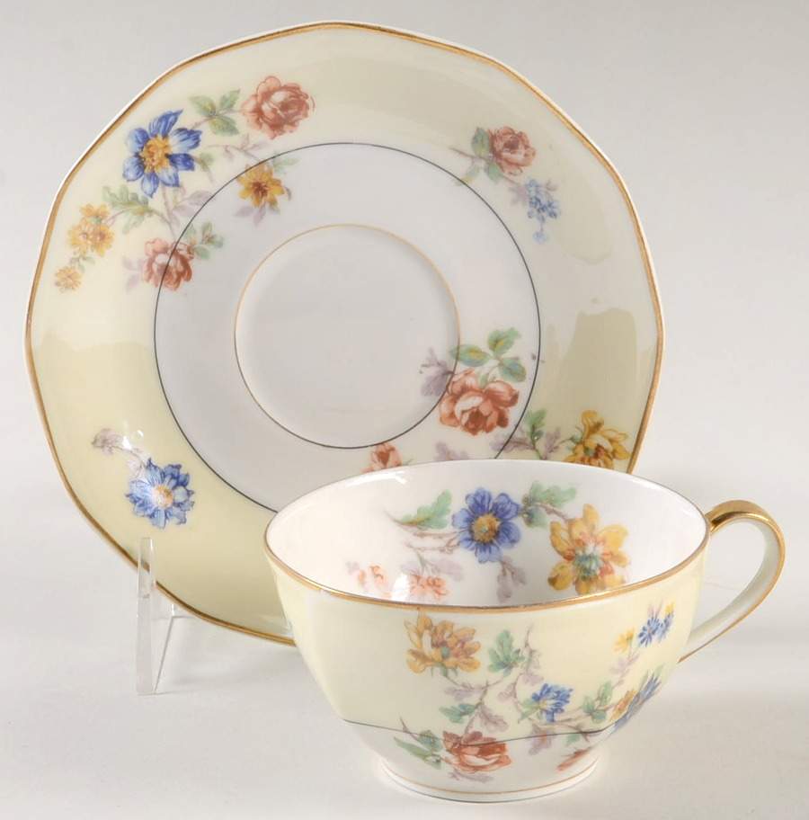 My Garden  Flat Cup & Saucer Set by Haviland-1