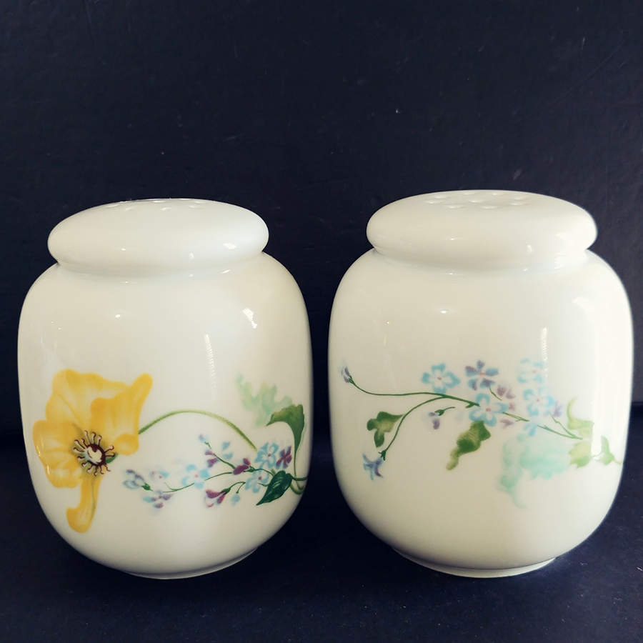 My Garden (Newer) Salt & Pepper Set by Haviland-1