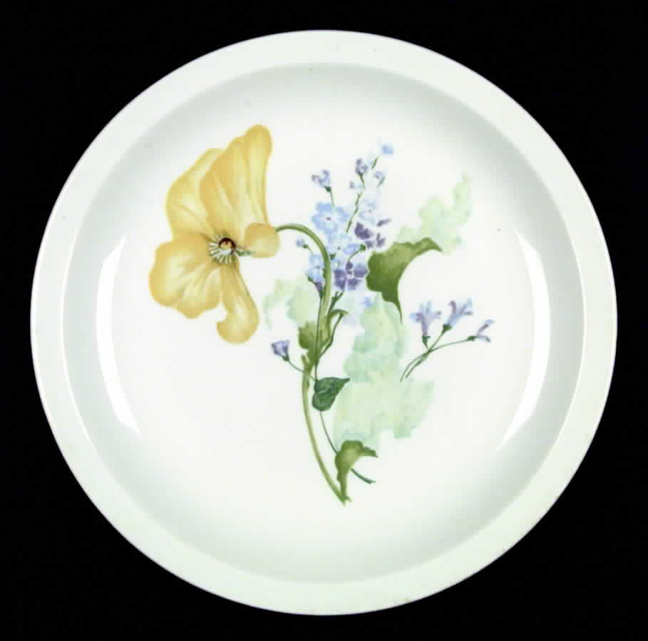 My Garden (Newer) Dinner Plate by Haviland-1