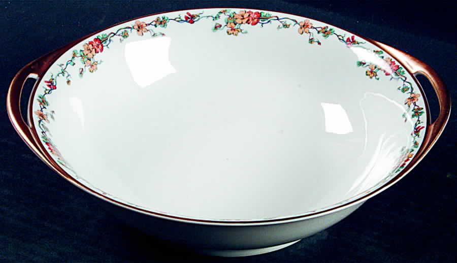Nasturtium 10" Round Vegetable Bowl by Haviland-1
