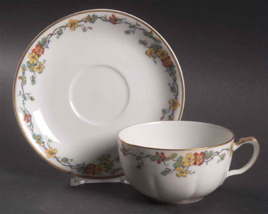 Nasturtium Flat Cup & Saucer Set by Haviland-1