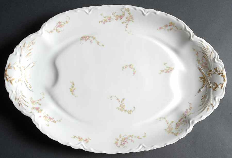 Norma 17" Oval Platter with Well by Haviland-1