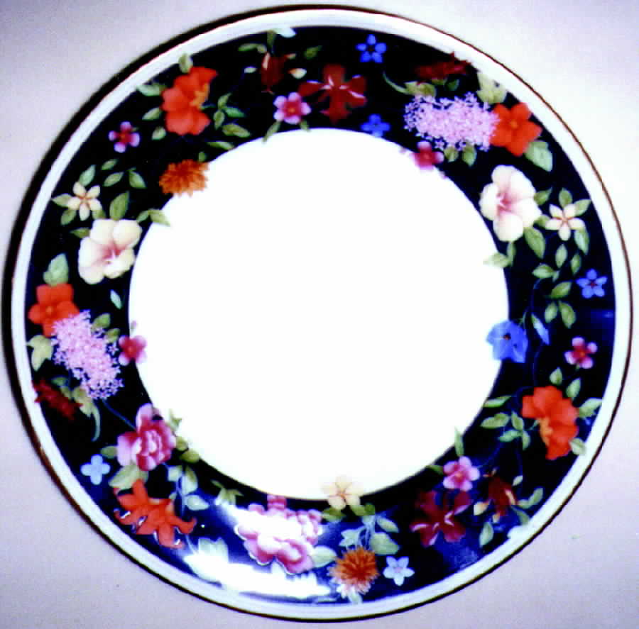 Nuit D'Ete Dinner Plate by Charles Field Haviland-1