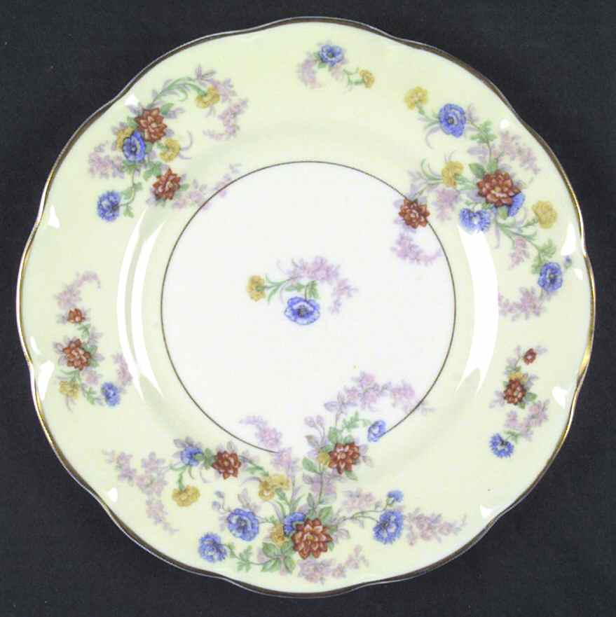 Orleans (Floral) Dinner Plate by Haviland-1