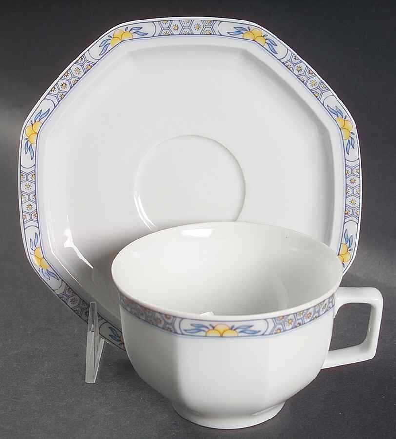 Pamplemousse Flat Cup & Saucer Set by Haviland-1