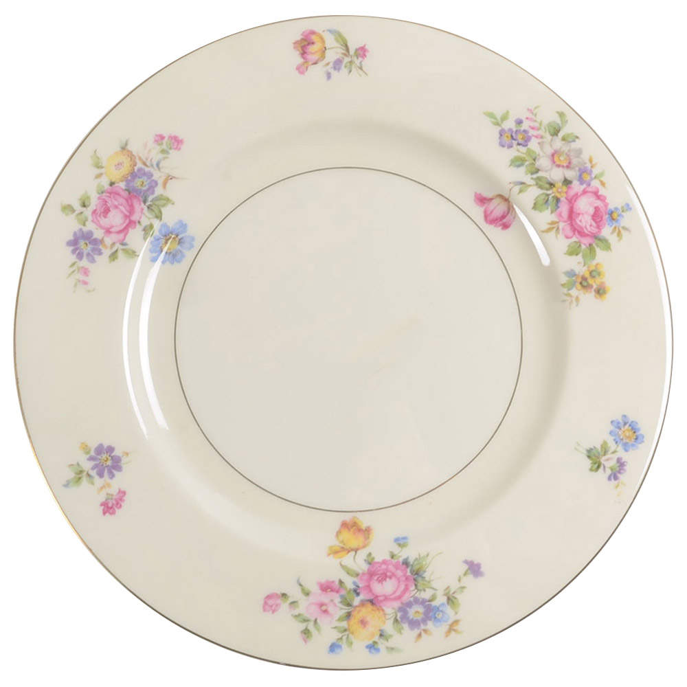 Pasadena Dinner Plate by Haviland-1