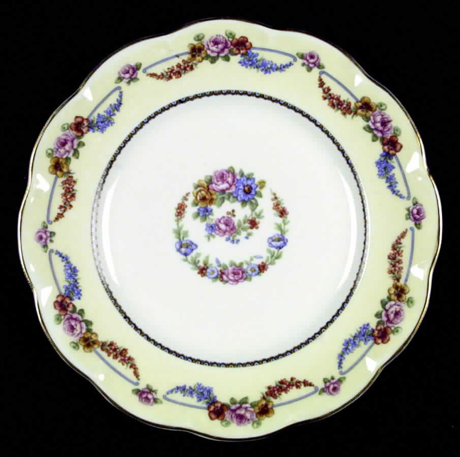 Picardy (France) Dinner Plate by Haviland-1
