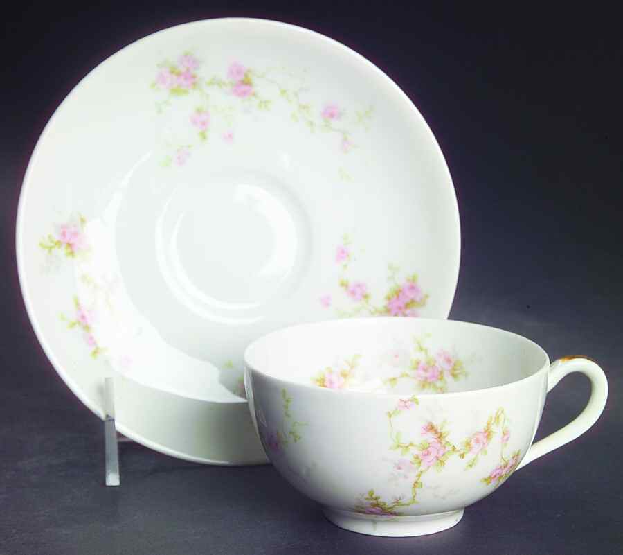 Pink Spray Flat Cup & Saucer Set by Haviland-1