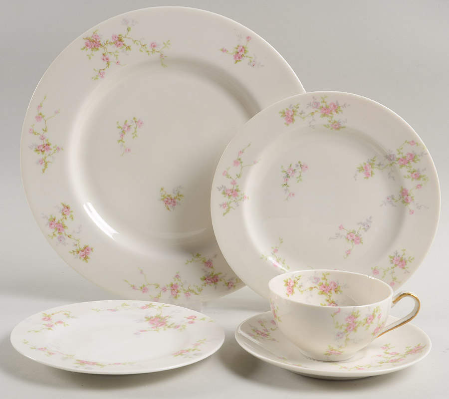 Pink Spray 5 Piece Place Setting by Haviland-1