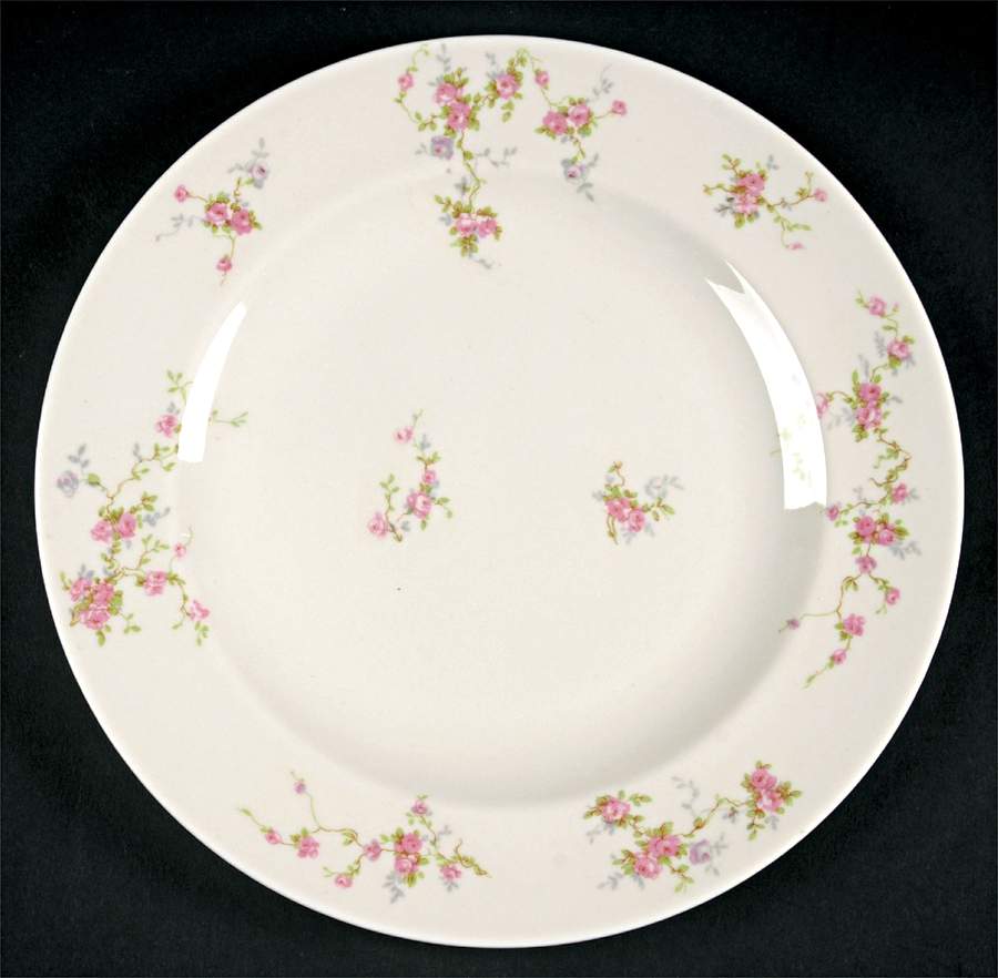 Pink Spray Dinner Plate by Haviland-1