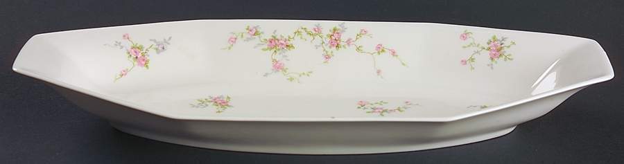 Pink Spray Celery by Haviland-1