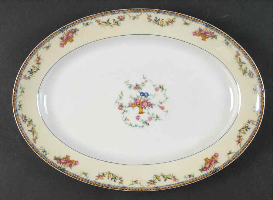 Plaza 11" Oval Serving Platter by Haviland-1