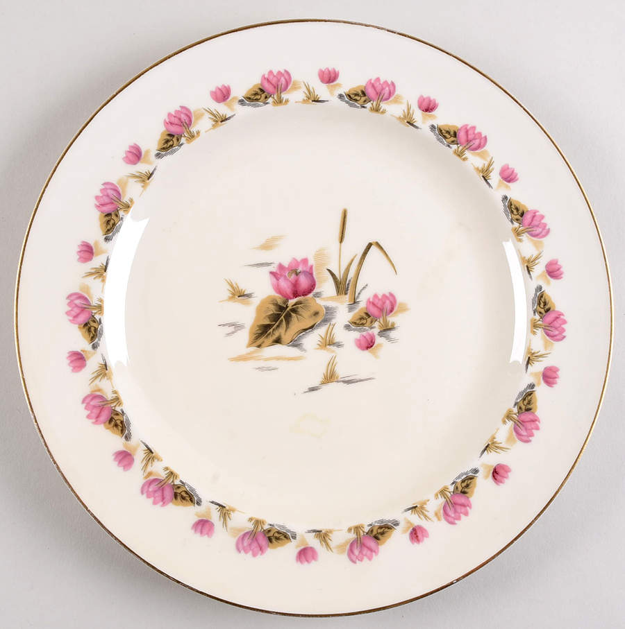 Pond Lily Dinner Plate by Haviland-1