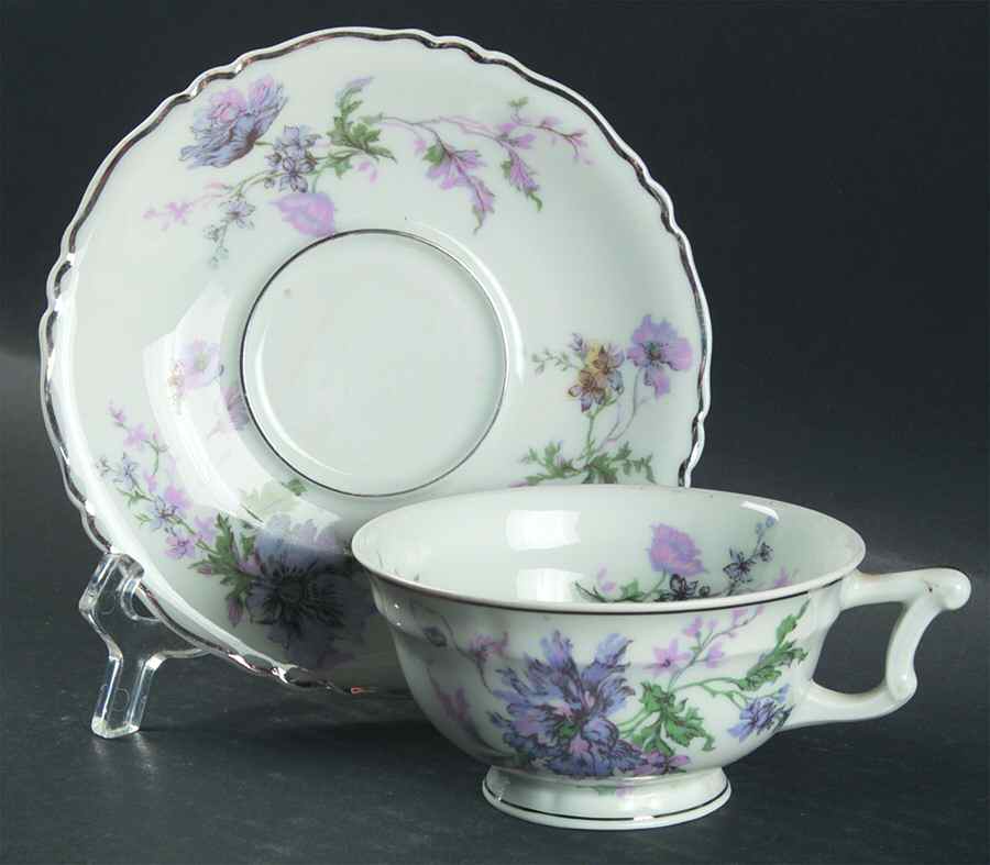 Pompadour Lavender Pink (Platinum Trim) Footed Cup & Saucer Set by Haviland-1