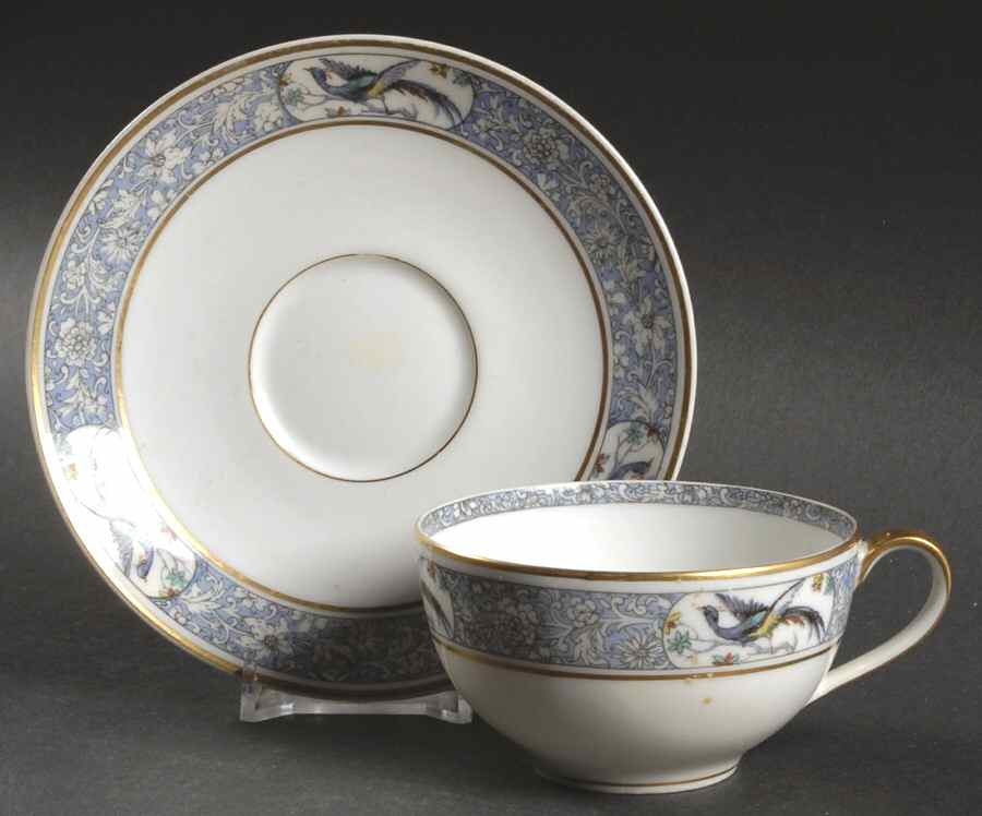 Rani Flat Cup & Saucer Set by Haviland-1