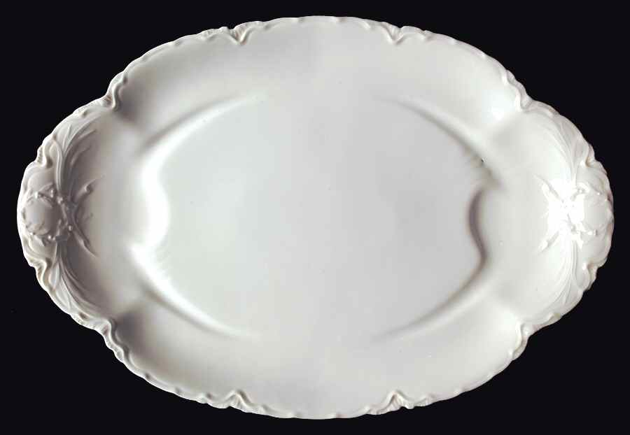 Ranson  20" Oval Platter with Well by Haviland-1