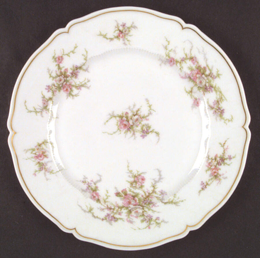 Remembrance Dinner Plate by Haviland-1