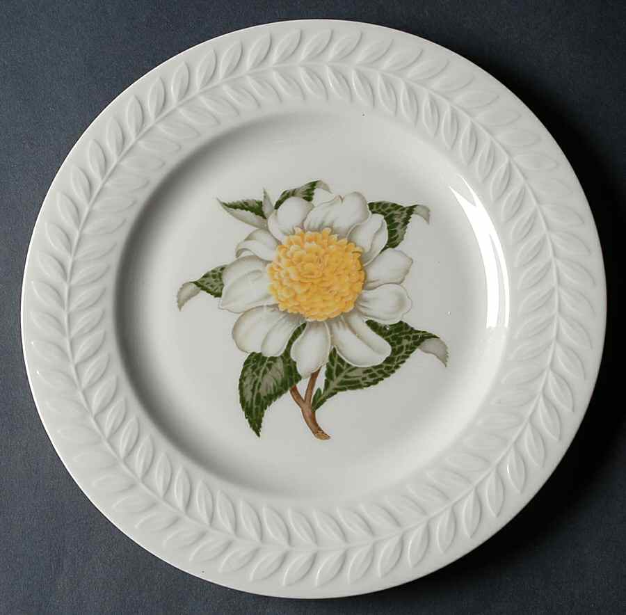 Regents Park Camellia Luncheon Plate by Haviland-1