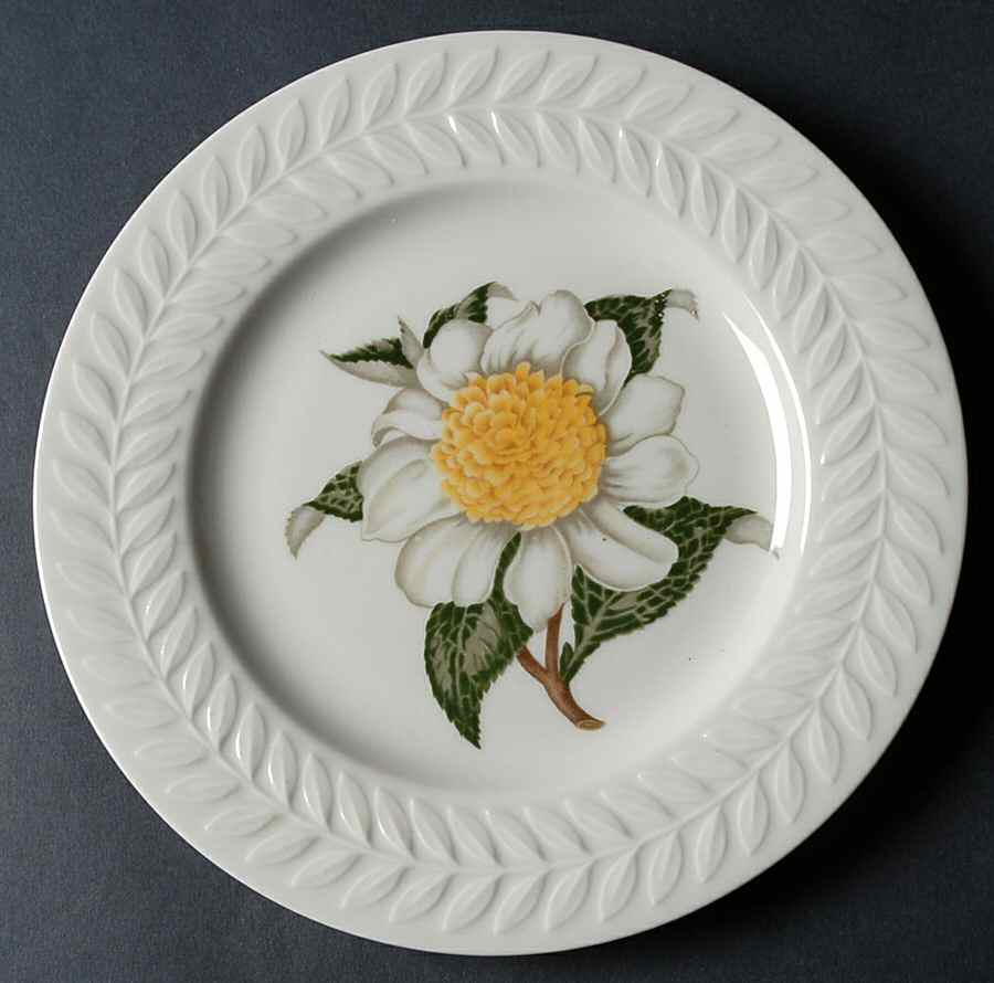 Regents Park Camellia Salad Plate by Haviland-1