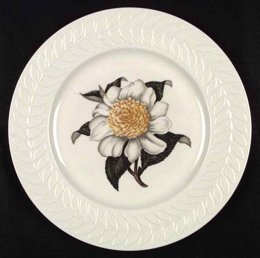 Regents Park Camellia Dinner Plate by Haviland-1