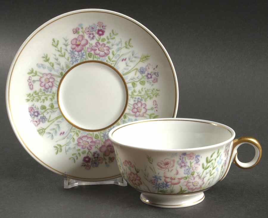 Rock Garden Footed Cup & Saucer Set by Haviland-1