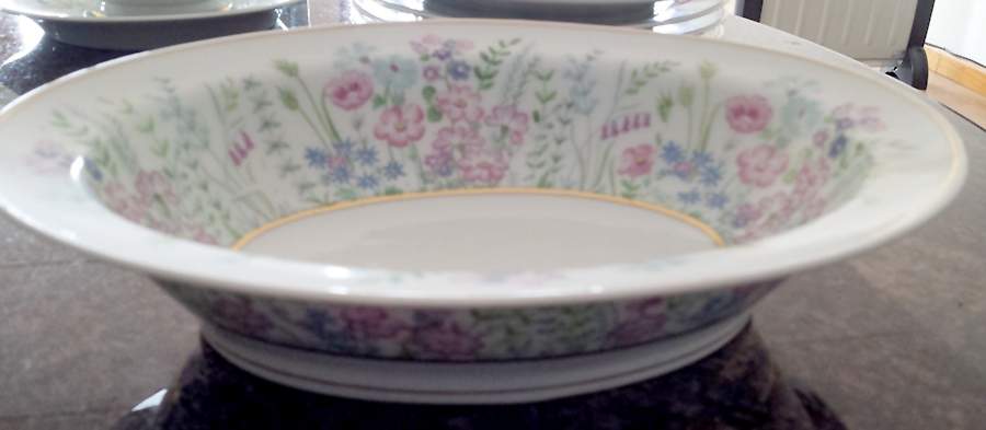 Rock Garden 9" Oval Vegetable Bowl by Haviland-1