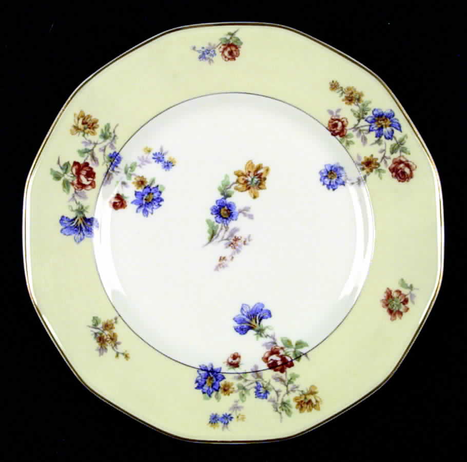 Rose Spray Dinner Plate by Haviland-1