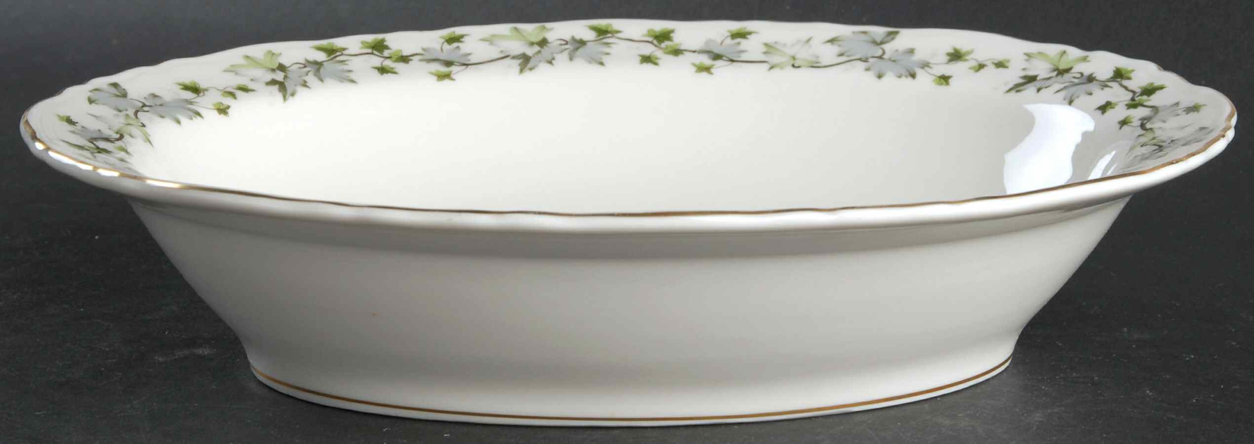 Saratoga (New York) 9" Oval Vegetable Bowl by Haviland-1