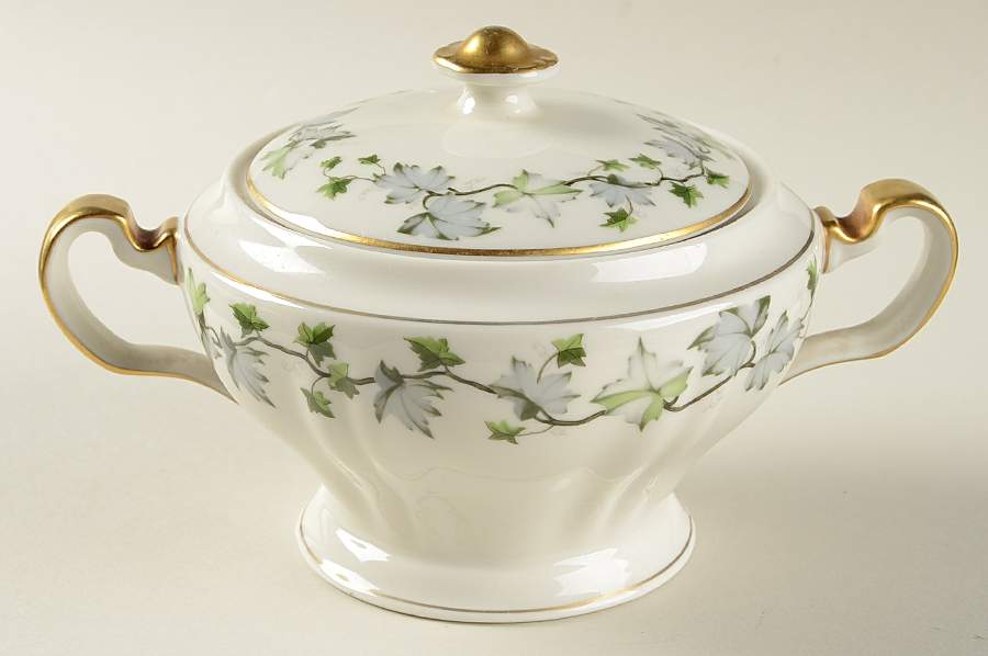 Saratoga (New York) Sugar Bowl & Lid by Haviland-1