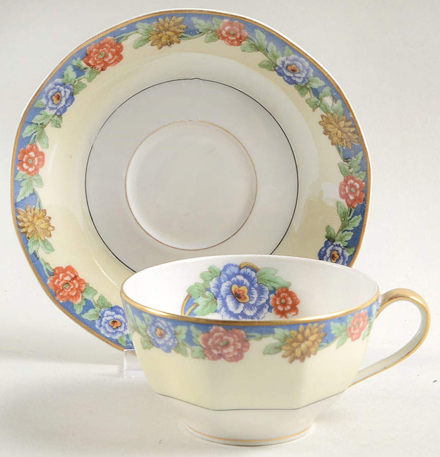 Satara Flat Cup & Saucer Set by Haviland-1