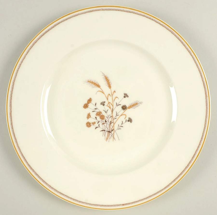 Scandia Dinner Plate by Haviland-1
