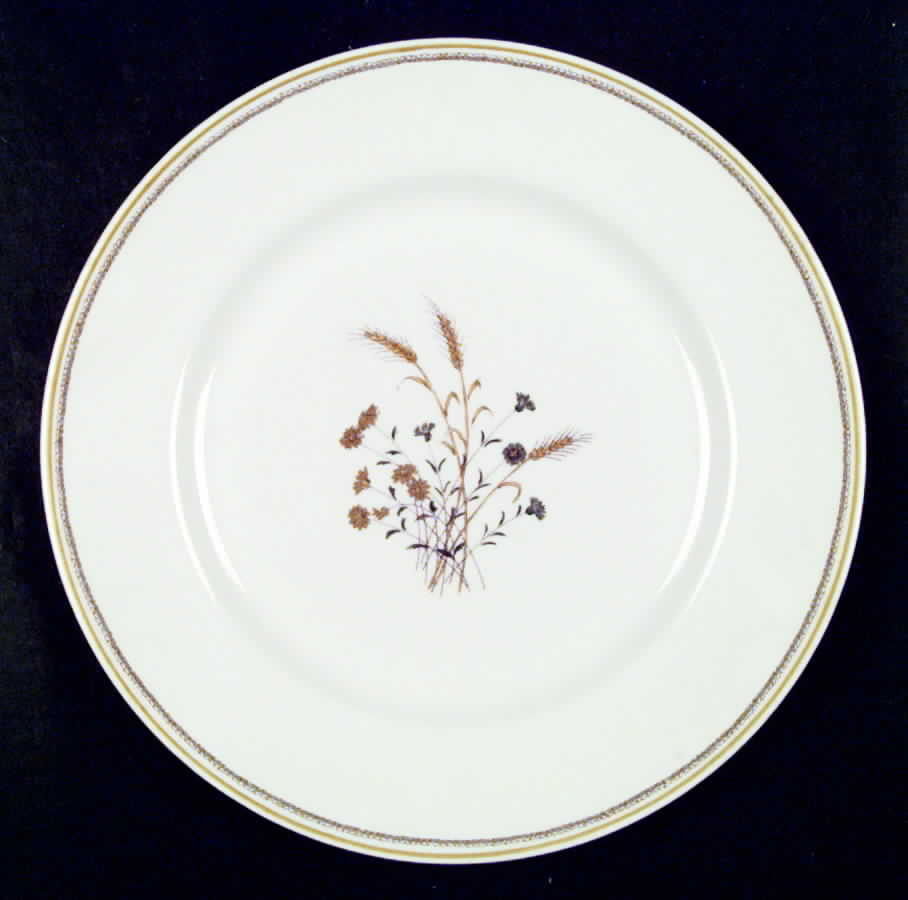 Scandia Dinner Plate by Haviland-1