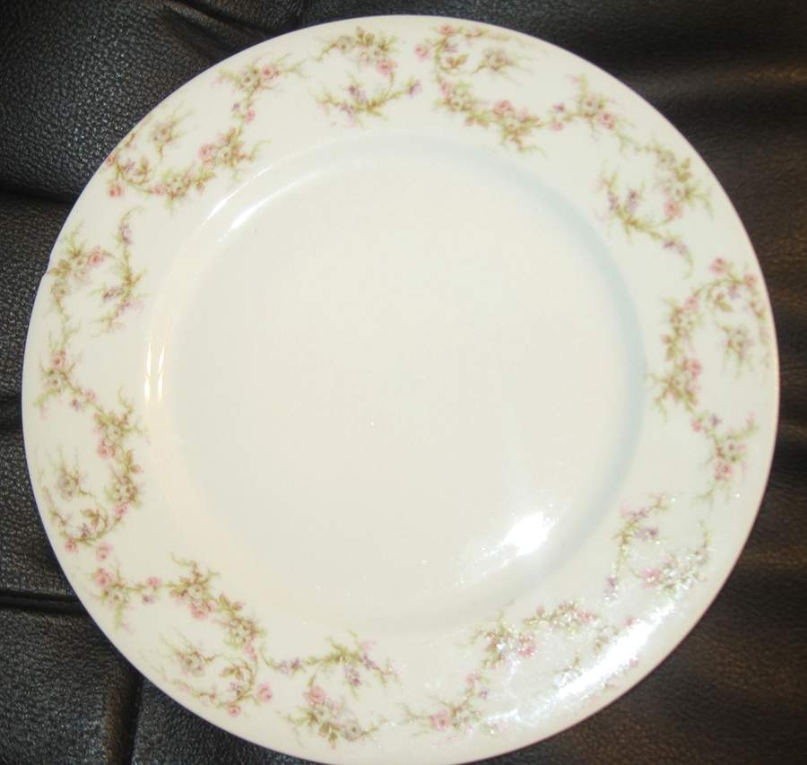 Schleiger 1020 Dinner Plate by Haviland-1