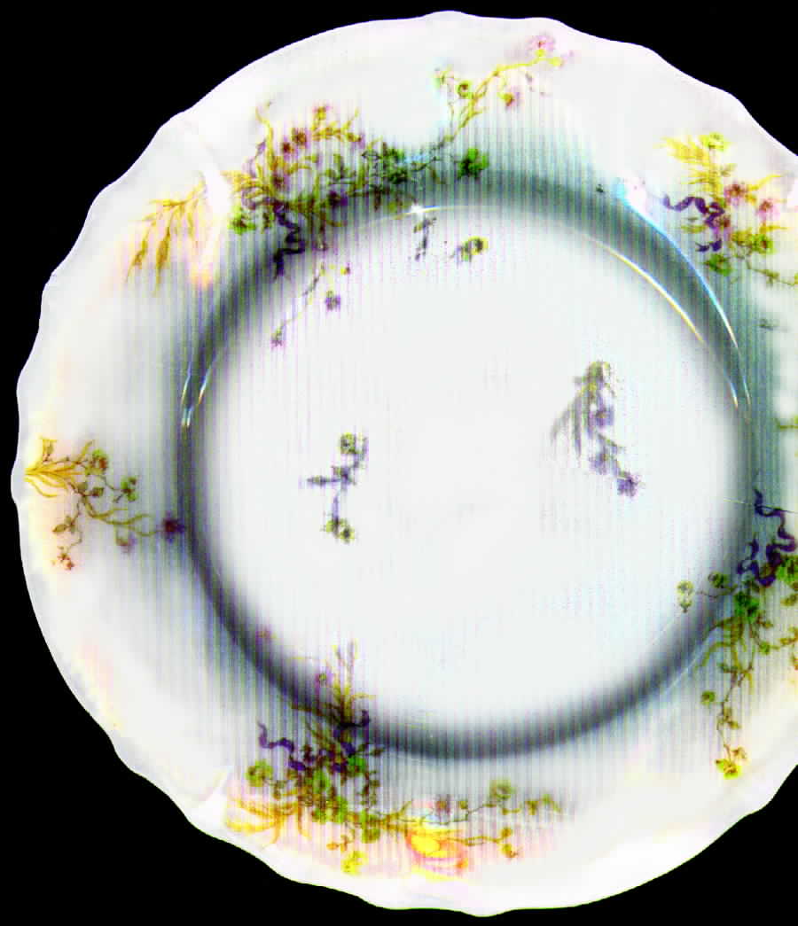 Schleiger 1025 Dinner Plate by Haviland-1