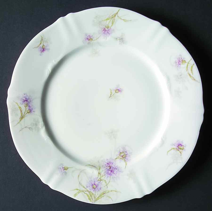 Schleiger 1035 Dinner Plate by Haviland-1