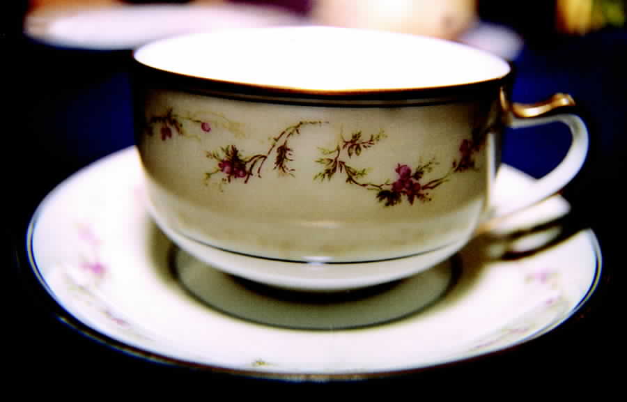 Schleiger 103c Flat Cup & Saucer Set by Haviland-1