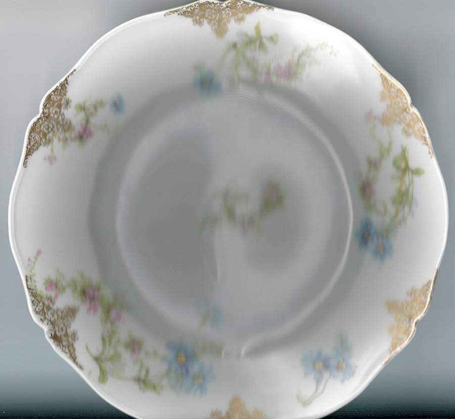 Schleiger 1041 Luncheon Plate by Haviland-1