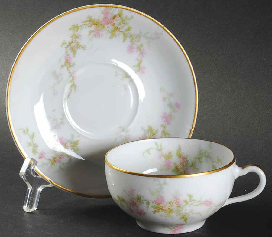 Schleiger 1043  Footed Cup & Saucer Set by Haviland-1