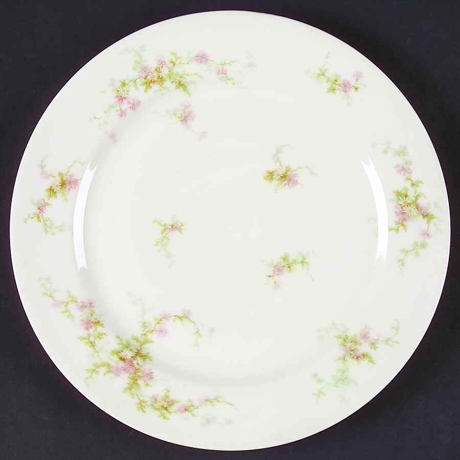Schleiger 1043A Dinner Plate by Haviland-1