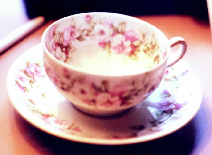 Schleiger 1065 Footed Cup & Saucer Set by Haviland-1