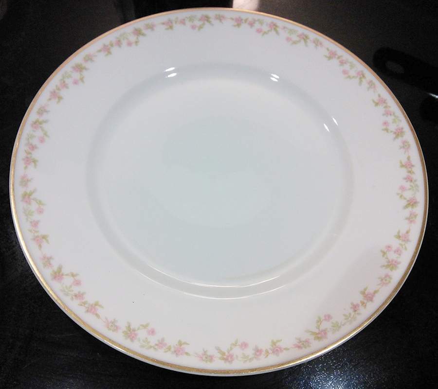 Schleiger 1080 Dinner Plate by Haviland-1