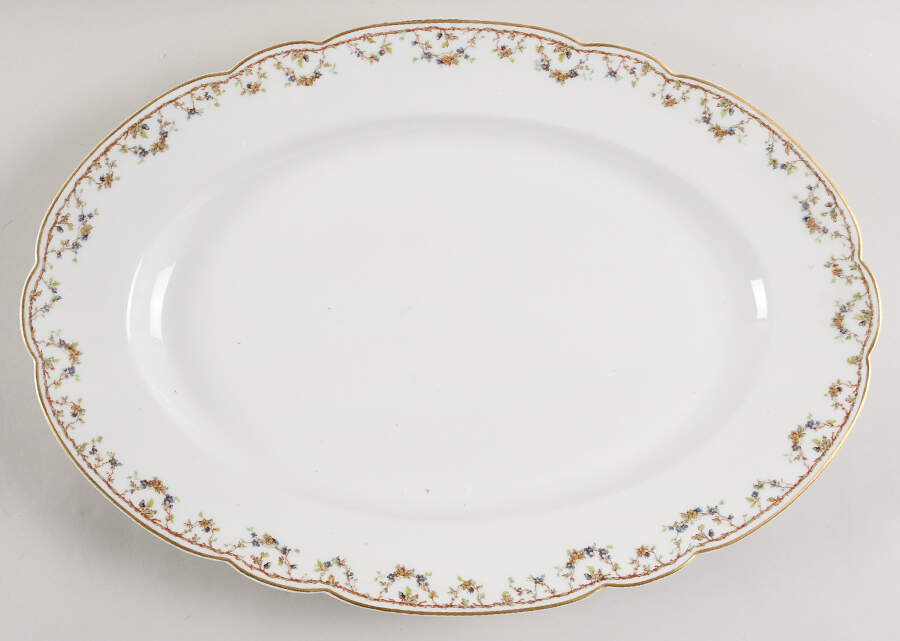 Schleiger 109 15" Oval Serving Platter by Haviland-1
