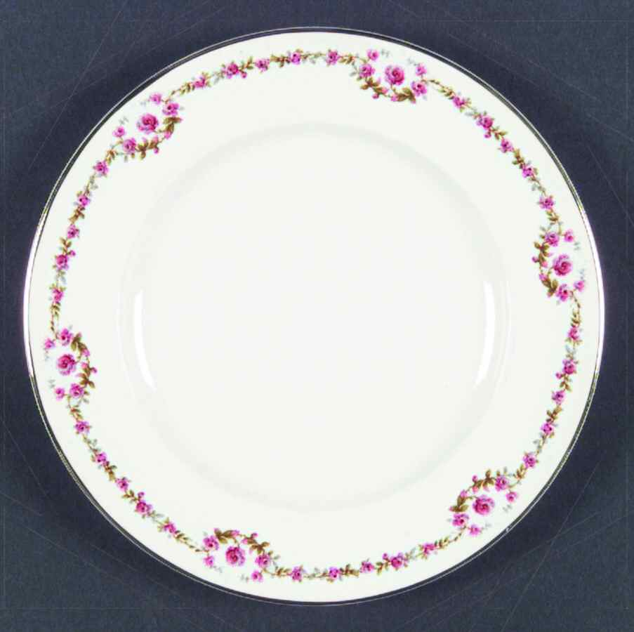 Schleiger 1097 Dinner Plate by Haviland-1