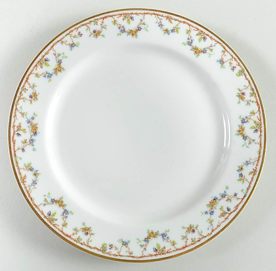 Schleiger 109C Salad Plate by Haviland-1