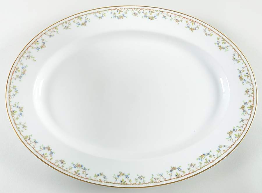 Schleiger 109C 16" Oval Serving Platter by Haviland-1