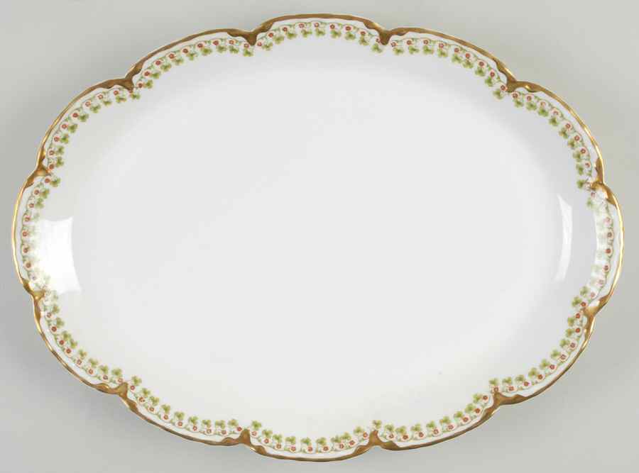 Schleiger 113  13" Oval Serving Platter by Haviland-1