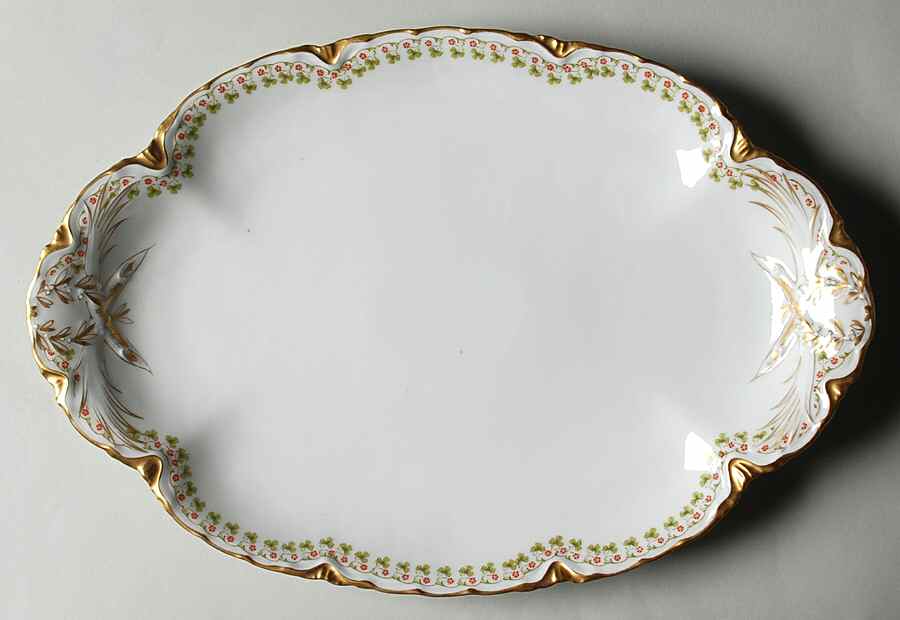 Schleiger 113  13" Oval Serving Platter by Haviland-1