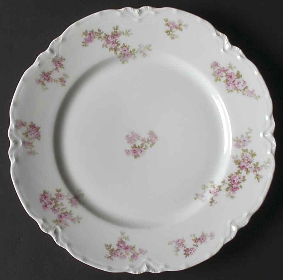 Schleiger 1131 Dinner Plate by Haviland-1
